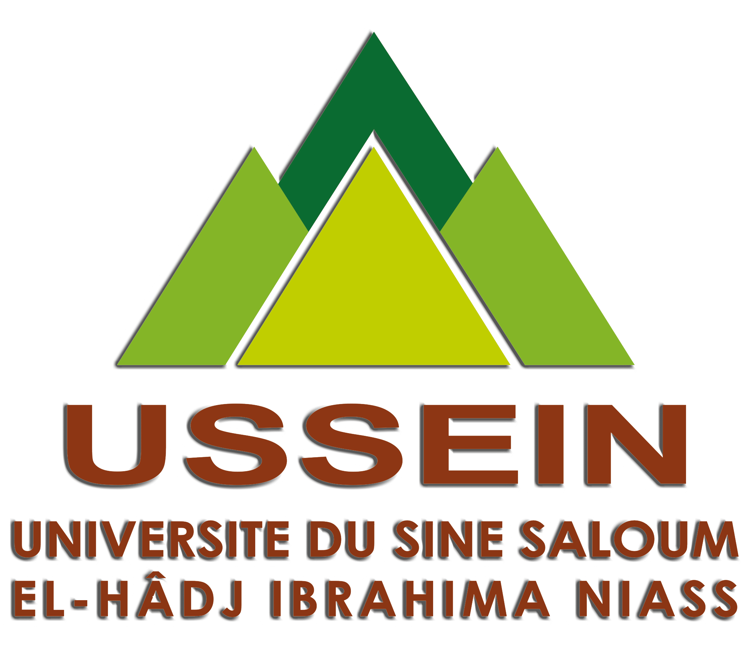 Université El Hadji Ibrahima Niasse